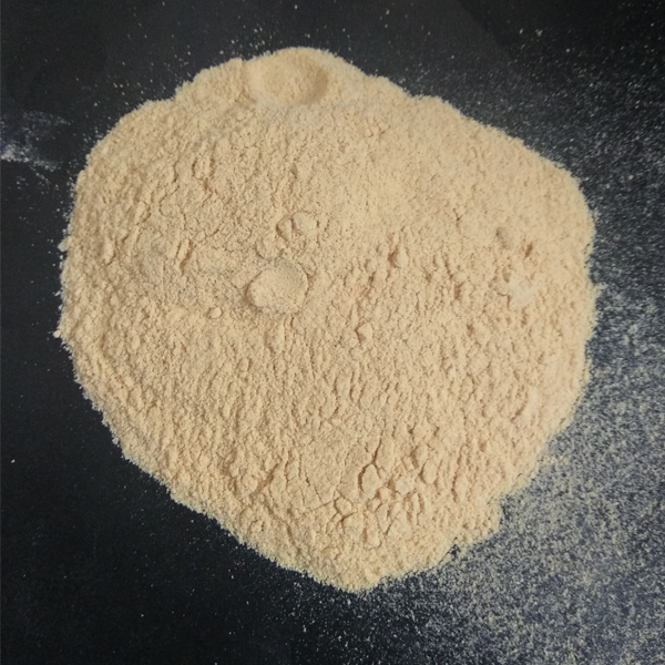 Dehydrated Tosted Onion Powder
